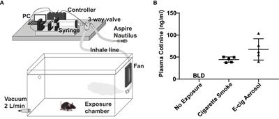 Frontiers Aerosolized nicotine from e cigarettes alters gene